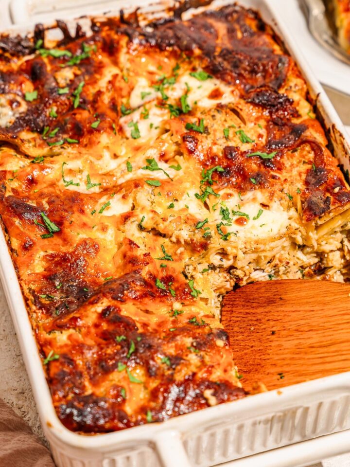 Chicken Alfredo lasagna bake in a white casserole dish.