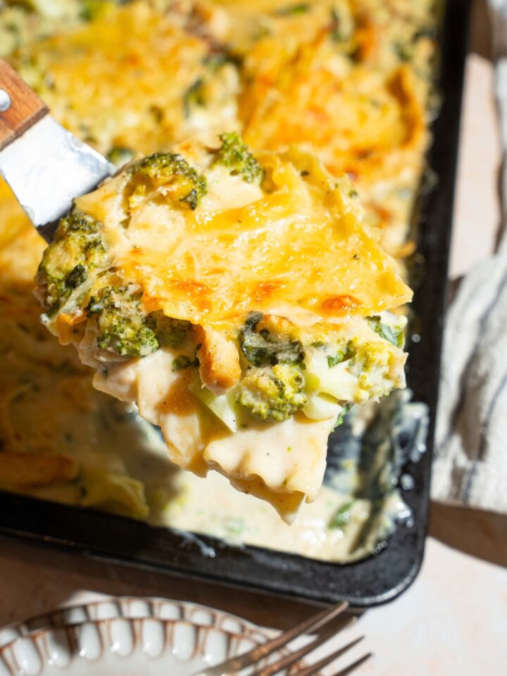 A close up of a spatula with a slice of chicken and broccoli lasagna over a sheet pan of lasagna. The sheet pan is on a tan counter with a plate.